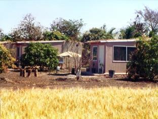 Gir Birding Lodge Sasan Gir Extérieur photo